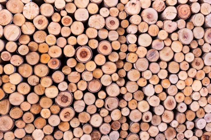 Vente bois de chauffage près de Moulins