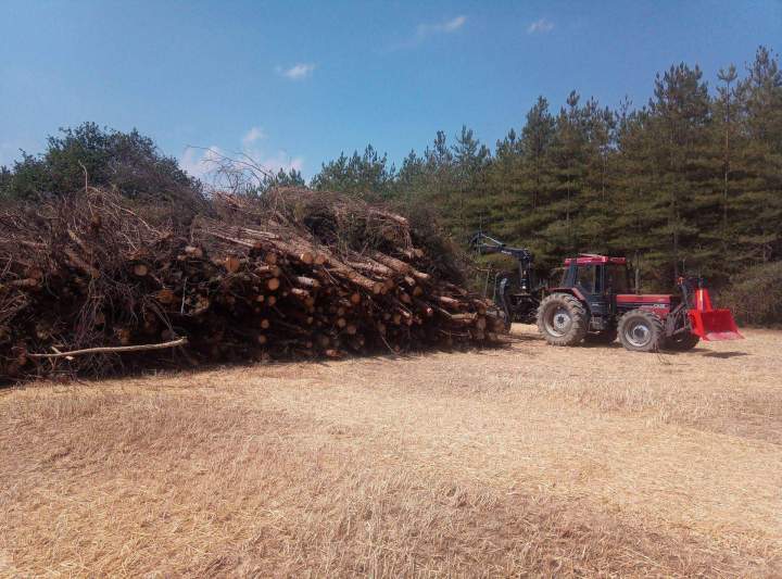 Bois de chauffage près de Moulins